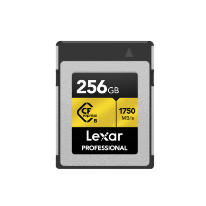 LEXAR 256GB LCXEXPR256G-RNENG CF-EXP PROFESSIONAL CFEXPRESS TYPE-B CARD UP TO 1750MB/S READ 1500MB/S WRITE resmi