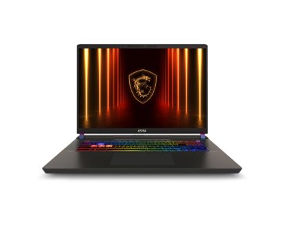 MSI NB VECTOR 17 HX AI A2XWJG-079TR ULTRA 9 275HX 32GB DDR5 RTX5090 GDDR7 24GB 1TB SSD 17.0 QHD+ 240Hz W11HOME resmi
